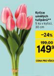 KYTICE UMĚLÝCH TULIPÁNŮ