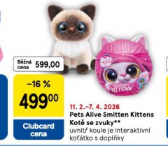 PETS ALIVE SMITTEN KITTENS KOT� SE ZVUKY