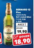PIVO BERNARD