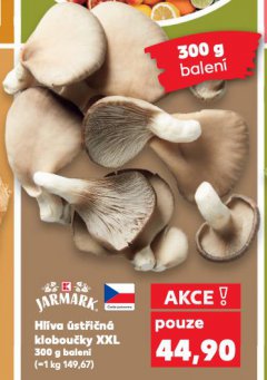 HL�VA �ST�I�N� KLOBOU�KY