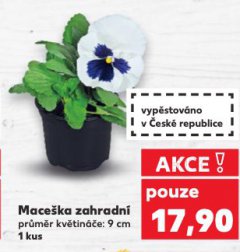 MACE�KA ZAHRADN�