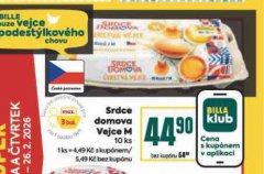 SRDCE DOMOVA VEJCE M 10 ks