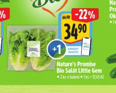 BIO SAL�T LITTLE GEM
