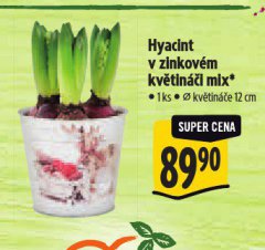 HYACINTY V ZINKOV�M KV�TIN��I