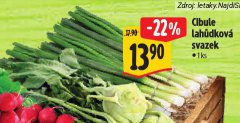 CIBULE LAH�DKOV� SVAZEK