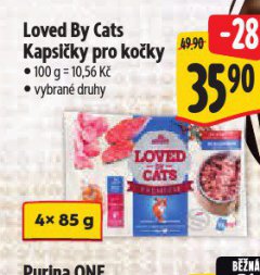 KAPSI�KY PRO KO�KY