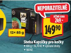 SHEBA KAPSI�KY PRO KO�KY