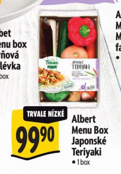 MENU BOX JAPONSKÉ TERIYAKI