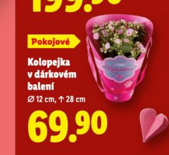 KOLOPEJKA V DÁRKOVÉM BALENÍ