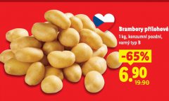 BRAMBORY P��LOHOV�