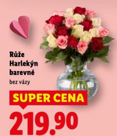 RَE HARLEK�N BAREVN�
