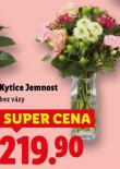 KYTICE JEMNOST