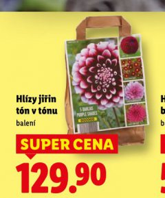 HL�ZY JI�IN T�N V T�NU