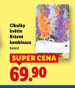 CIBULKY KV�TIN KR�SN� KOMBINACE