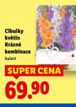 CIBULKY KV�TIN KR�SN� KOMBINACE
