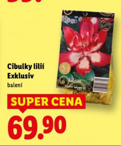 CIBULKY LILI� EXKLUSIV