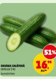 OKURKA SALÁTOVÁ