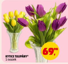 KYTICE TULIP�NY