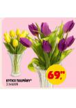 KYTICE TULIP�NY