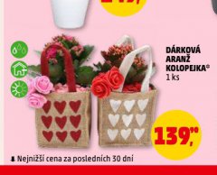DÁRKOVÁ ARANŽ KOLOPEJKA
