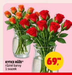 KYTICE RŮŽE