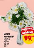 KYTICE KOPRETIN