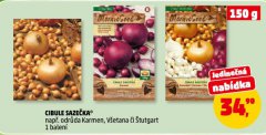 CIBULE SAZE�KA