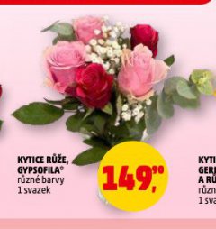 KYTICE GYPSOFILA