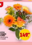 KYTICE GERBERA A RŮŽE