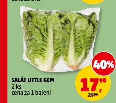 SAL�T LITTLE GEM