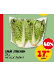 SALÁT LITTLE GEM