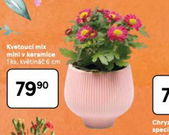 KVETOUC� MIX MINI V KERAMICE