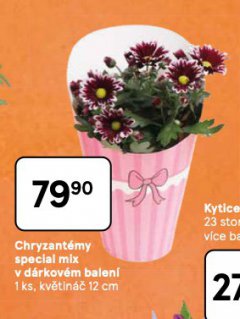 CHRYZANT�MY SPECIAL MIX V D�RKOV�M BALEN�