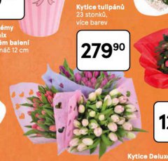 KYTICE TULIP�N�