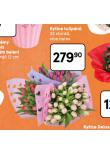 KYTICE TULIP�N�