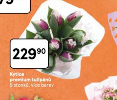KYTICDE PREMIUM TULIP�N�