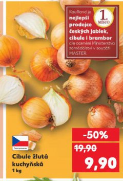 CIBULE KUCHY�SK� �LUT�