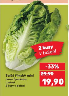 SAL�T ��MSK� MINI