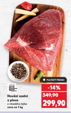 HOV�Z� ZADN� Z PLECE