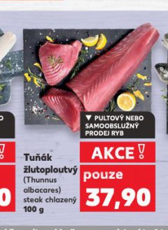 TUŇÁK ŽLUTOPLOUTVÝ