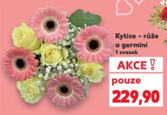 KYTICE RَE A GERMINI