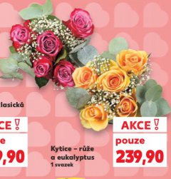 KYTICE RَE A EUKALYPTUS