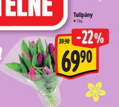TULIP�NY