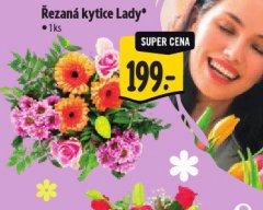 �EZAN� KYTICE LADY