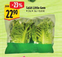 SAL�T LITTLE GEM