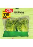 SALÁT LITTLE GEM