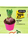 HYACINT