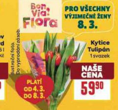 KYTICE TULIP�N