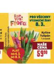 KYTICE TULIPÁN