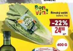 ��MSK� SAL�T